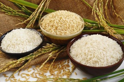 Rice & Rice Products