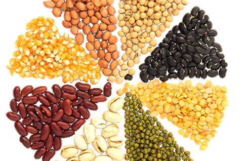 Dal & Pulses